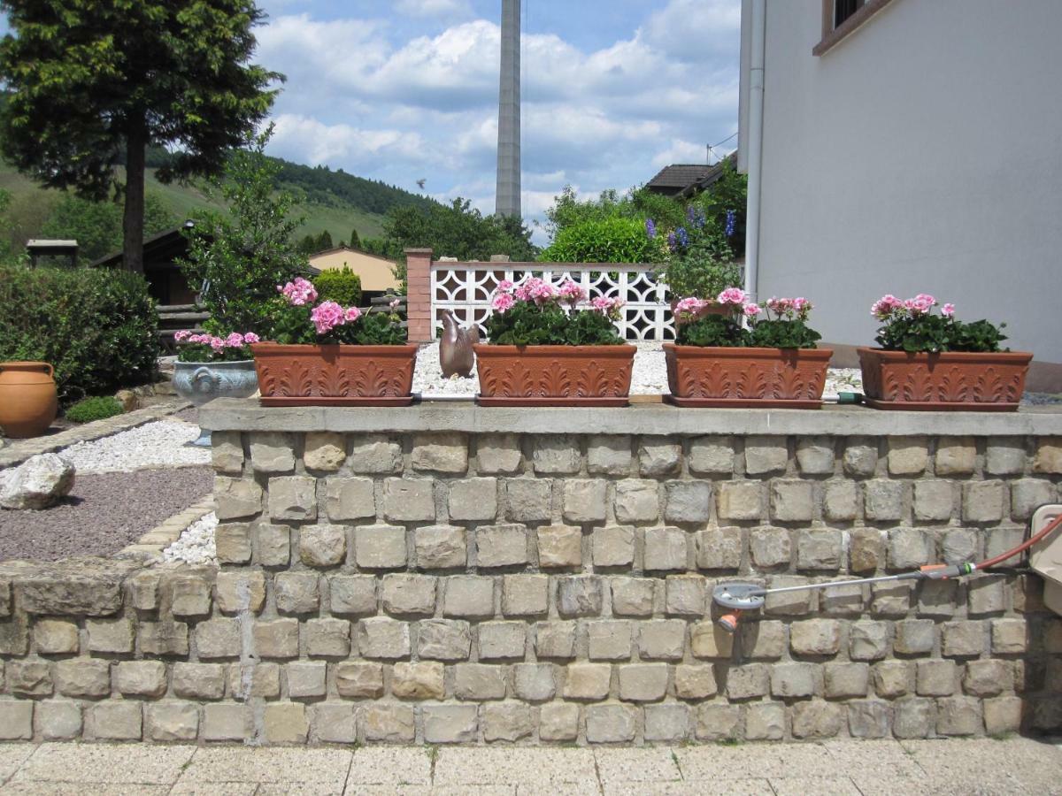 Elisabeth Decker Appartement Zeltingen-Rachtig Buitenkant foto